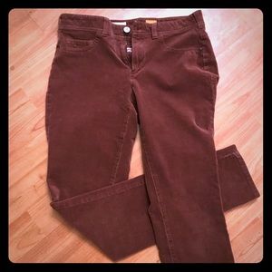 Anthropologie Pilcro Serif Cord Leggings